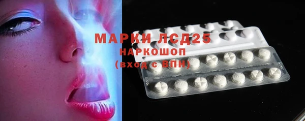 ГАЛЛЮЦИНОГЕННЫЕ ГРИБЫ Горно-Алтайск
