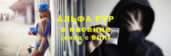 мяу мяу мука Абаза