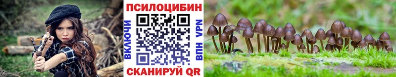 Псилоцибиновые грибы Magic Shrooms  МЕГА ТОР  Темников  что такое  