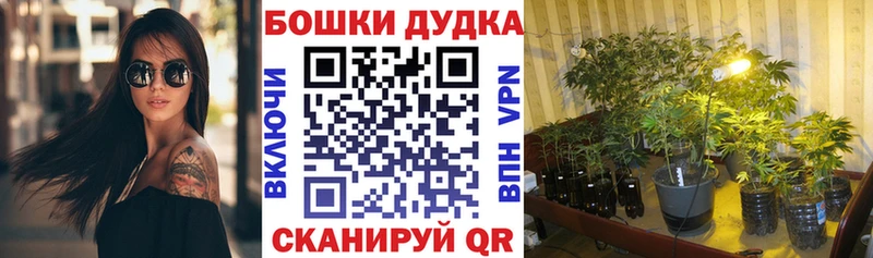 где можно купить   omg рабочий сайт  Бошки марихуана AK-47  нарко площадка состав  Темников 